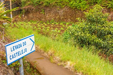 Levada Castelejo, Madeira