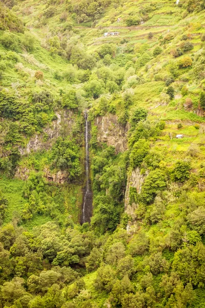 Cachoeiras na madeira — Fotografia de Stock