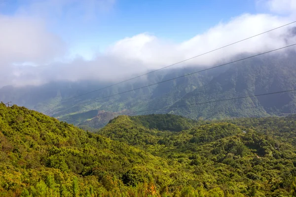 Madeira forest hill valley landscape — Stock Photo, Image