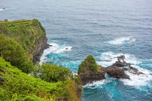 Ponta do Poiso - Madeiras északra vadon élő part — Stock Fotó