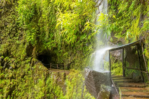 Tropikalnym wodospadem, Madera — Zdjęcie stockowe