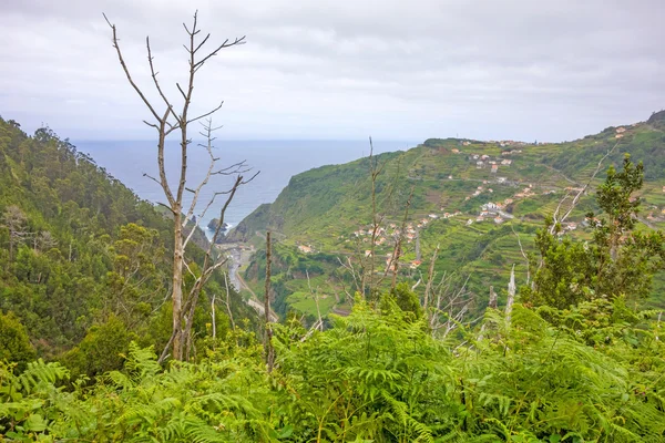 Visa över Ribeira da Janela till Atlanten — Stockfoto