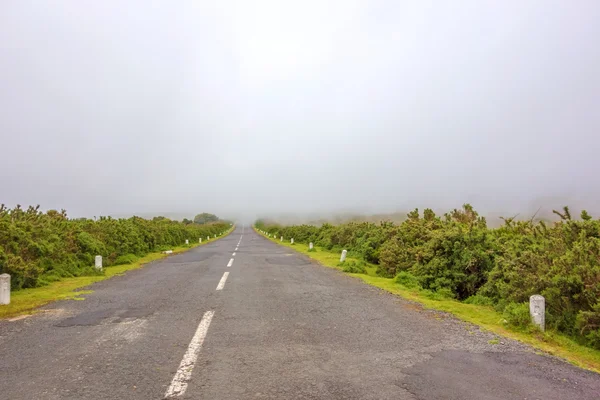 Route avec brouillard — Photo