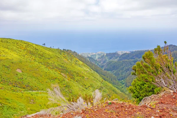 Bergachtige ten westen van Madeira, Portugal — Stockfoto