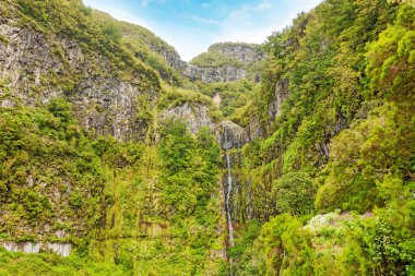 25 çeşmeler şelale ve yeşilimsi manzara, Madeira orman