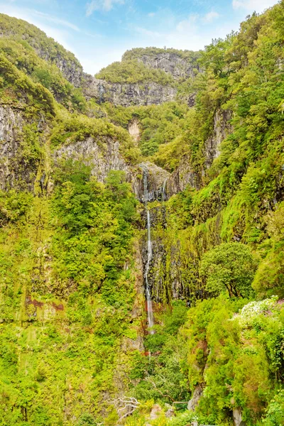 Waterfall and greenish forest landscape, Madeira — Stock Photo, Image