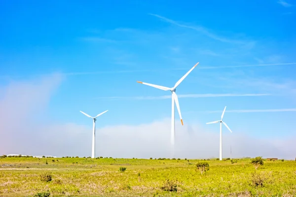 Вітрові турбіни в природному зеленому пейзажі блакитне небо — стокове фото
