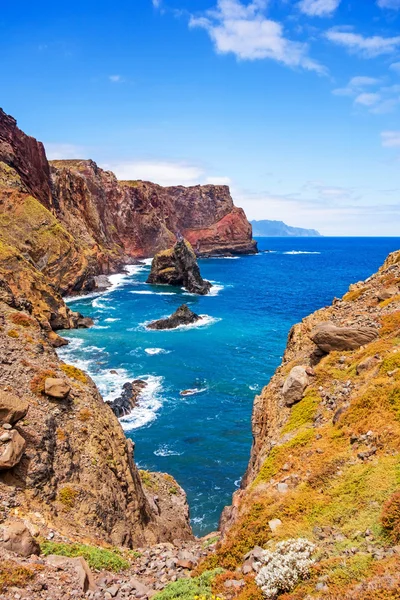 Madeira, Ponta de Sao Lourenco koyunda — Stok fotoğraf