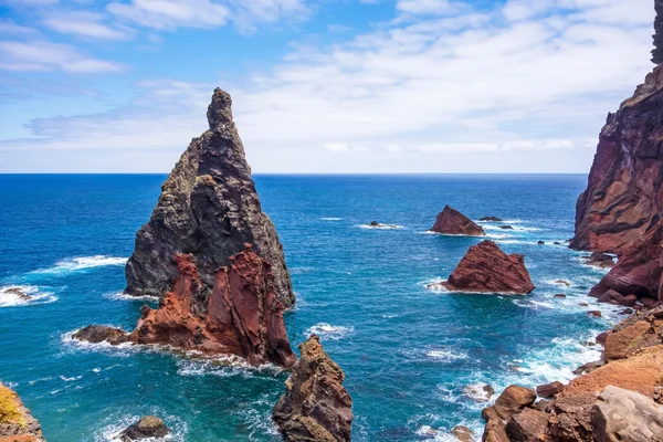 Madeira, Ponta de Sao Lourenco koyunda — Stok fotoğraf