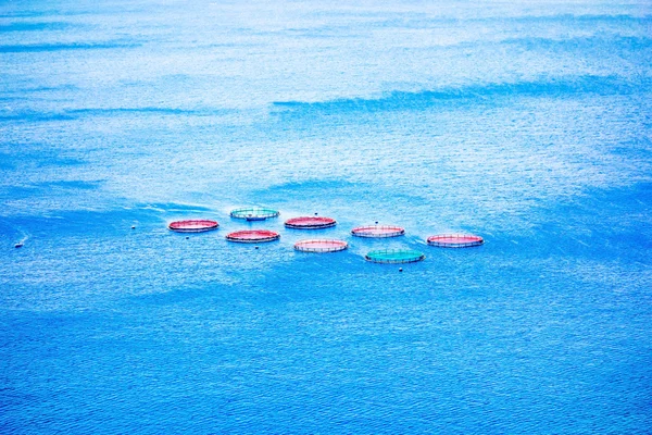 Fish farm, offshore — Stock Photo, Image