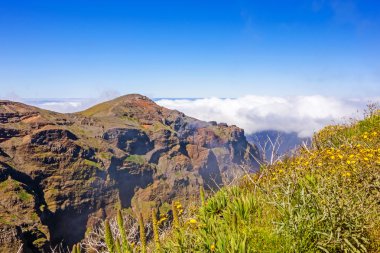Madeira mountainscape - dağlık manzara