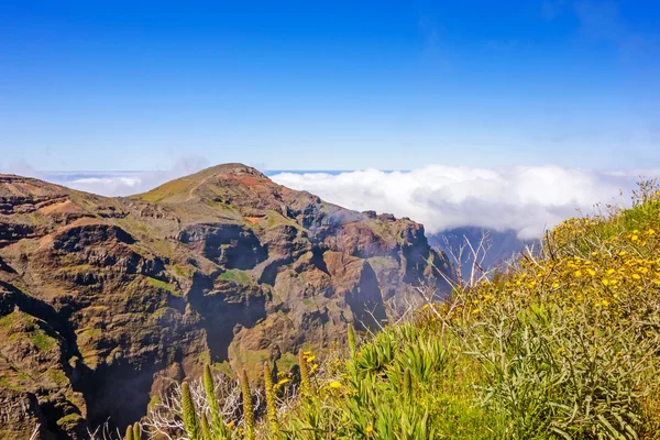 Madeira berglandschap - bergachtige landschap — Stockfoto