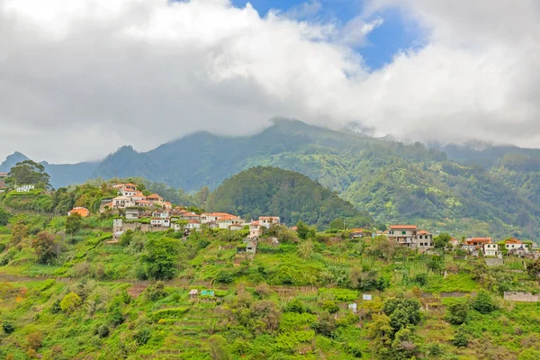 Madeira - grüne Landschaft — Stockfoto
