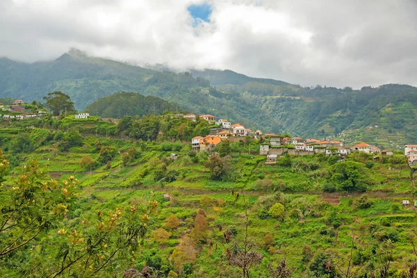 Madeira - paisagem natural verde — Fotografia de Stock