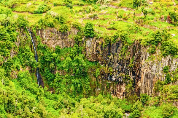 Waterfall - green natural landscape — Stock Photo, Image