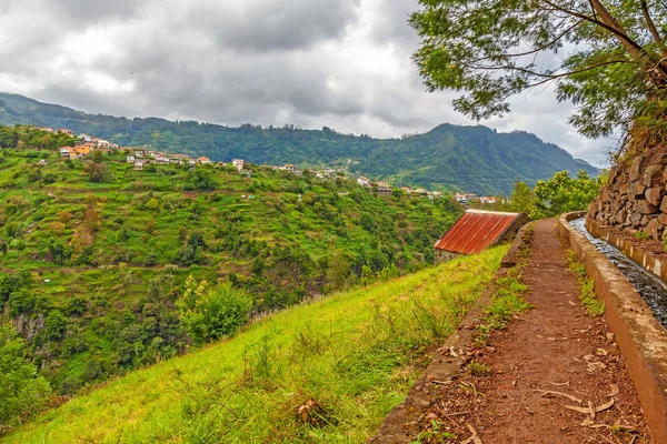 Podél levada, madeira — Stock fotografie