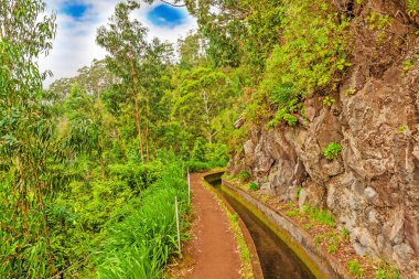 levada, madeira