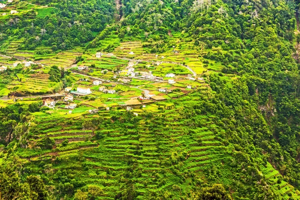 Terasovité kopce, madeira — Stock fotografie