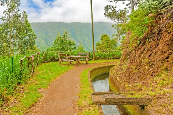 Podél levada, madeira — Stock fotografie