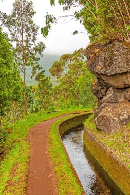 levada, madeira