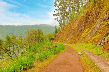 levada, madeira