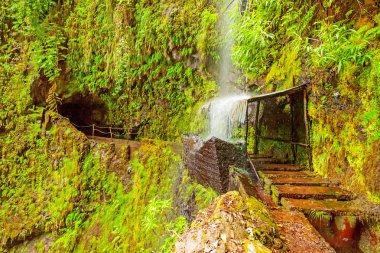 tropik şelale, madeira