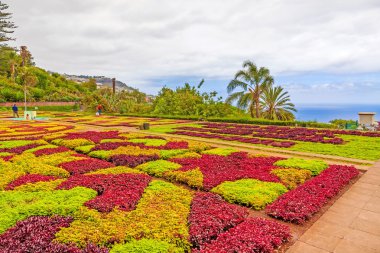 Botanik Bahçesi, Funchal, Madeira