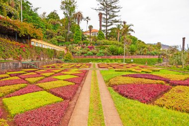 Botanik Bahçesi, Funchal, Madeira