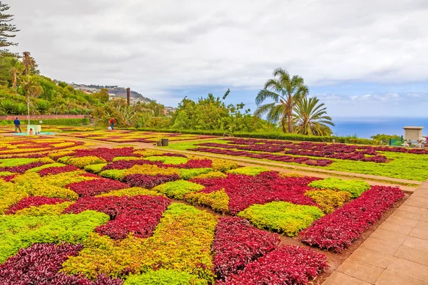 Botanische Tuin, Funchal, Madeira — Stockfoto