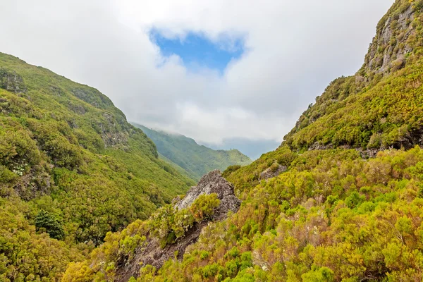Természeti táj a Madeira-szigetek — Stock Fotó