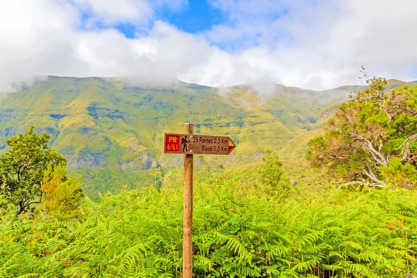 Madeira-Wandern, Wegweiser 25 Fontes, grünes Inselinnere — Stockfoto