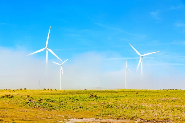 Вітрові турбіни в природному зеленому пейзажі блакитне небо — стокове фото