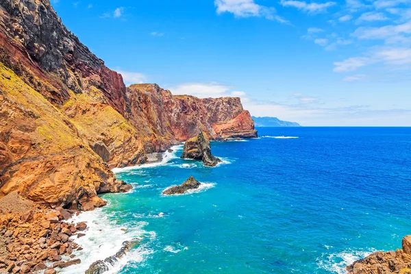 Madeira, Ponta de Sao Lourenco koyunda — Stok fotoğraf