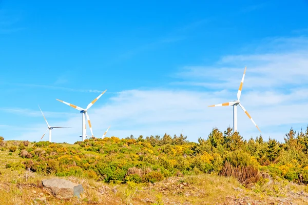 Turbiny wiatrowe w naturalny krajobraz zielony - niebieski niebo — Zdjęcie stockowe