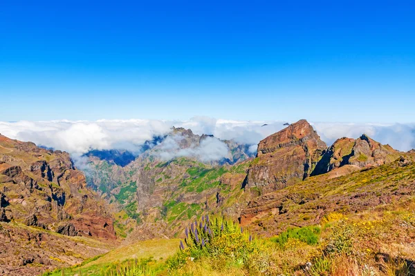 Mountain landscape near Pico do Arieiro — Stock Photo, Image