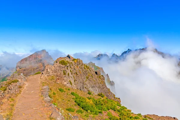 Vulkanische berglandschap - Madeira wandelen — Stockfoto