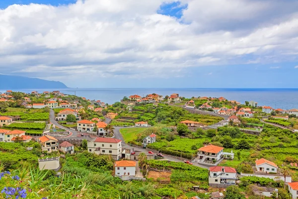 Ponta Delgada, Madeira — Stok fotoğraf