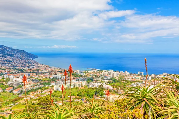 Funchal, eiland Madeira — Stockfoto