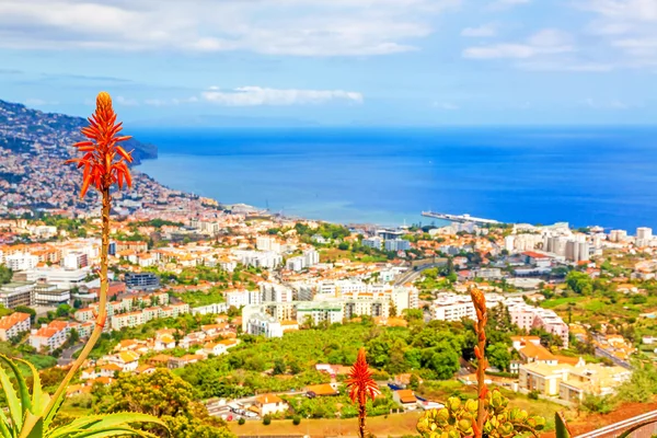 Funchal, eiland Madeira — Stockfoto