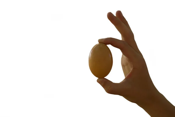 一个鸡蛋 — 图库照片