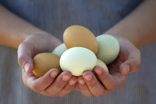 Handen met eieren — Stockfoto