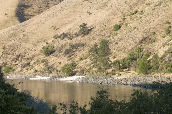 Zalmrivier in Idaho — Stockfoto