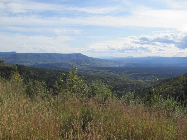 Bosque canadiense — Foto de Stock