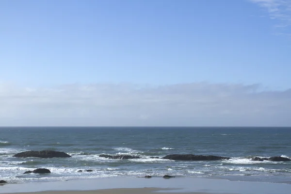 Praia de rocha selo — Fotografia de Stock