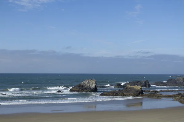 Seal Rock Beach — Stok fotoğraf