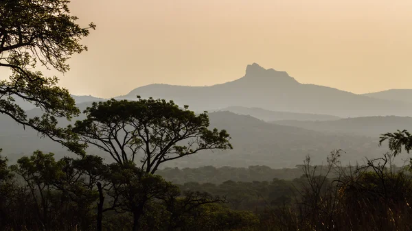 Dziki krajobraz w Kruger National park, Afryka Południowa — Zdjęcie stockowe