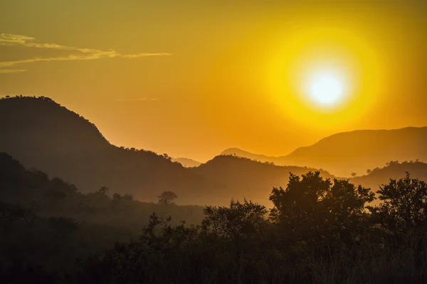 Západ slunce v Kruger National park, Jihoafrická republika — Stock fotografie