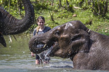 Nepal Asya fili ile oynayan genç turist kız