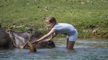 Nepal Asya fili ile oynayan genç turist kız