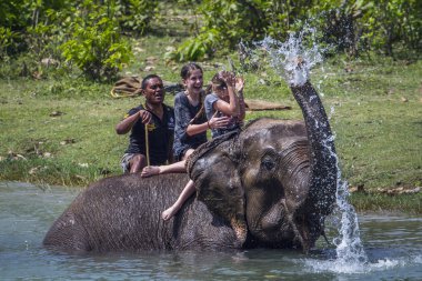 Nepal Asya fili ile oynarken iki genç turist kız